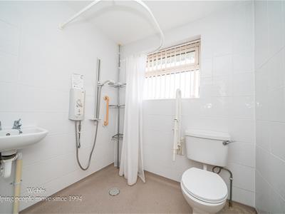 Picture 21